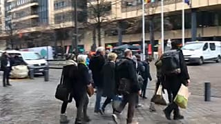 Libertad bajo fianza para los activistas de Greenpeace detenidos en Eslovaquia