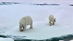 The Brief: Climate challenges, toy safety and Brexit decisions