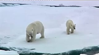 The Brief: Climate challenges, toy safety and Brexit decisions