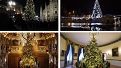 Vote now: Which cities have the best and worst Christmas trees? 