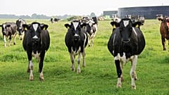 Estonia, Latvia and Lithuania receive low farming EU subsidies.