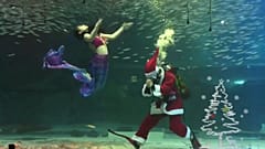 Pai Natal celebra a quadra com sereias