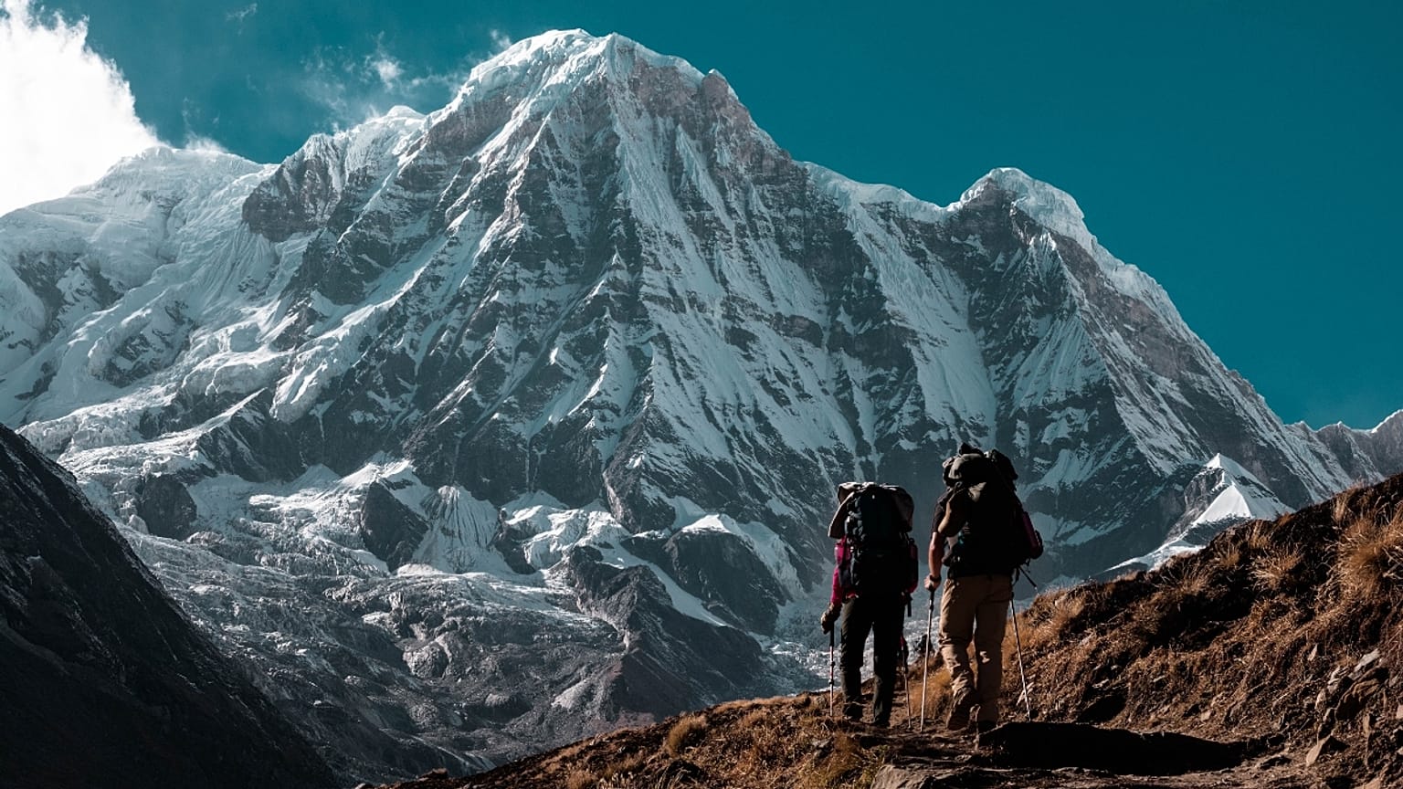 Activewear brands that give back to the environment