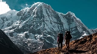 Activewear brands that give back to the environment