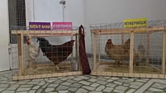 Στάση εργασίας γιατρών και νοσηλευτών