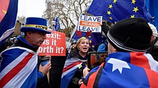 Brexit karşıtları ile yandaşları May'i protesto etti