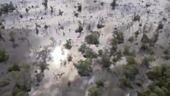 Rio de Janeiro: Diebe lösen Ölpest aus