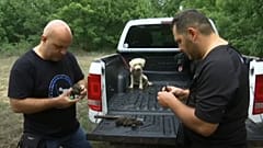 Truffle hunters examine their wares