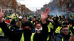 ومن الأصفر ما حبس.. ناشطة تقول إن مصر حبست محاميا لأنه... ارتدى سترة صفراء !