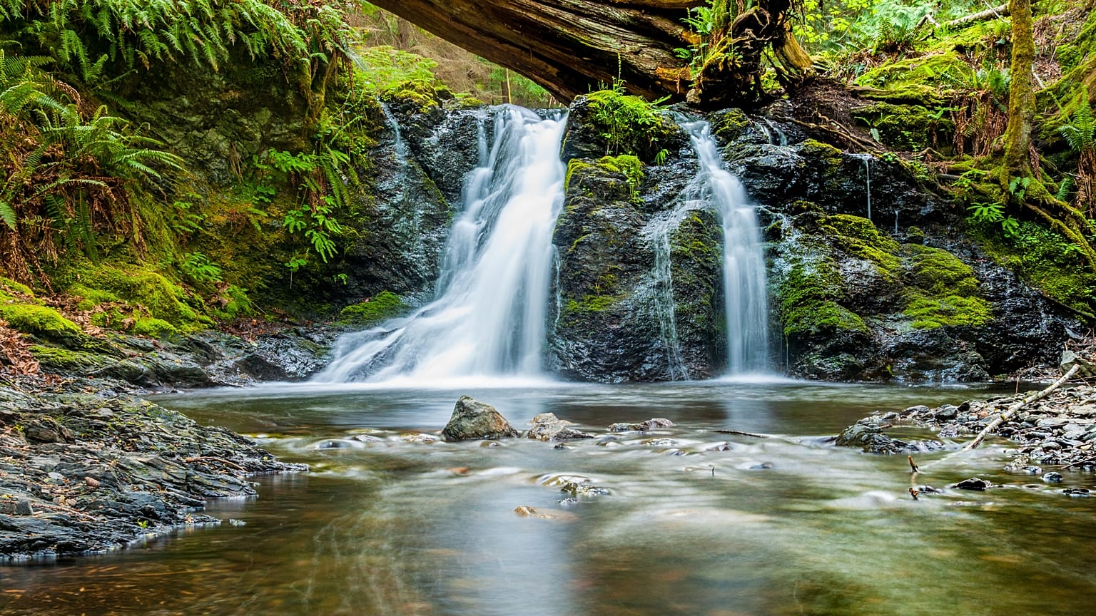 Five new ways to help the environment