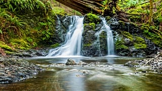 Five new ways to help the environment