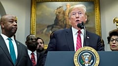 The other Trump