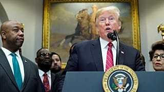 The other Trump