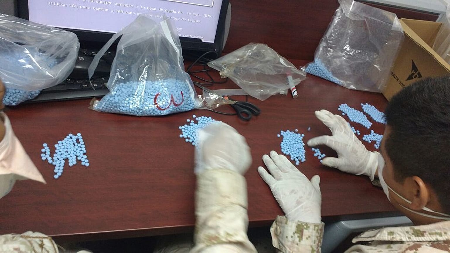 Meksika'daki bir laboratuvara yapılan baskında rekor miktarda uyuşturucu ele geçirildi 