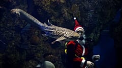 Weihnachtsmann besucht Fische im Aquarium in Malta