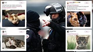 Straßburg: Katzenbilder überfluten Twitter, um die Polizei zu schützen