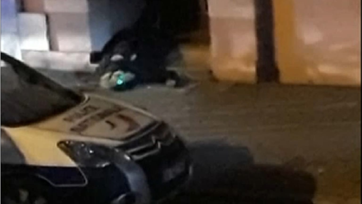 شاهد: اللحظات الأولى لمقتل شريف شيخات المشتبه به بتنفيذ اعتداء ستراسبورغ 