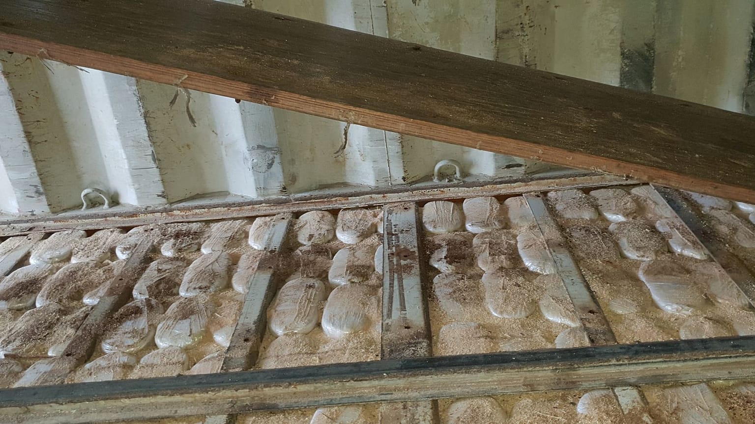 Μεγάλη επιτυχία του Λιμενικού με κατάσχεση ναρκωτικών