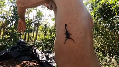 The Cuban hailing the curing power of the Scorpion