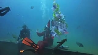 Праздничную елку установили на дне моря