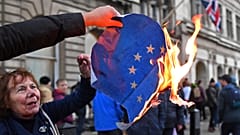 'Brexit guard dog': Could a second referendum inspire a UKIP resurrection?