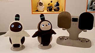 Japonlar yalnızlık çekenlere arkadaşlık edecek yapay zekalı robot üretti