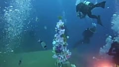 Zypern: Weihnachten unter Wasser