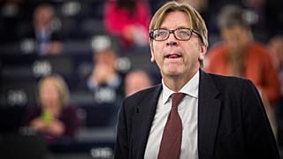 Nach Euronews-Enthüllungen: Verhofstadt fordert Facebook auf, "falsches Video" zu löschen