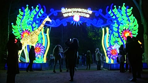 Polar bears mingle with pandas and elephants in Paris light show