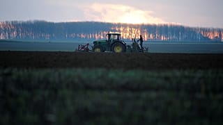 By banning pesticides and GMOs, the EU is sleepwalking into a food security crisis | View
