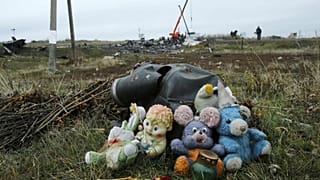 Hollanda düşürülen Malezya uçağıyla ilgili Rusya'yı uluslararası mahkemeye götürebilir