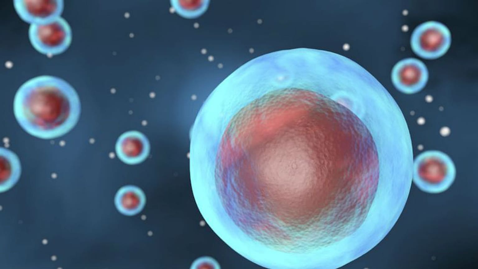 Amerikan Science Dergisi: 2018'in en çığır açıcı atılımları hücre çalışmalarından çıktı