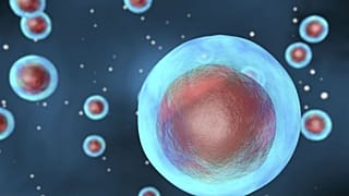 Amerikan Science Dergisi: 2018'in en çığır açıcı atılımları hücre çalışmalarından çıktı
