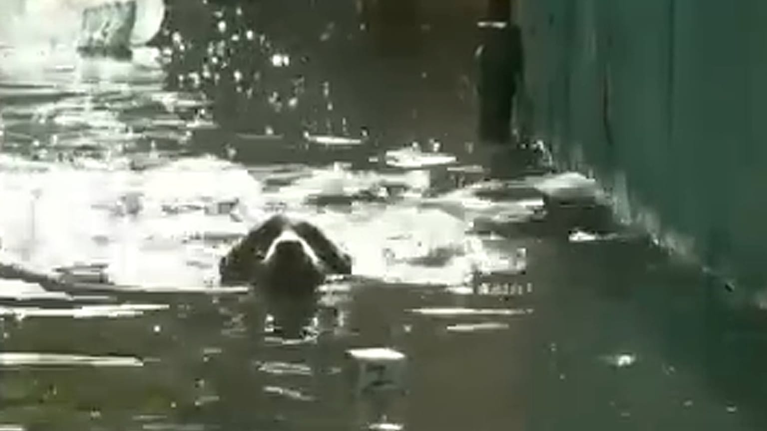 Havana hit by severe floods 