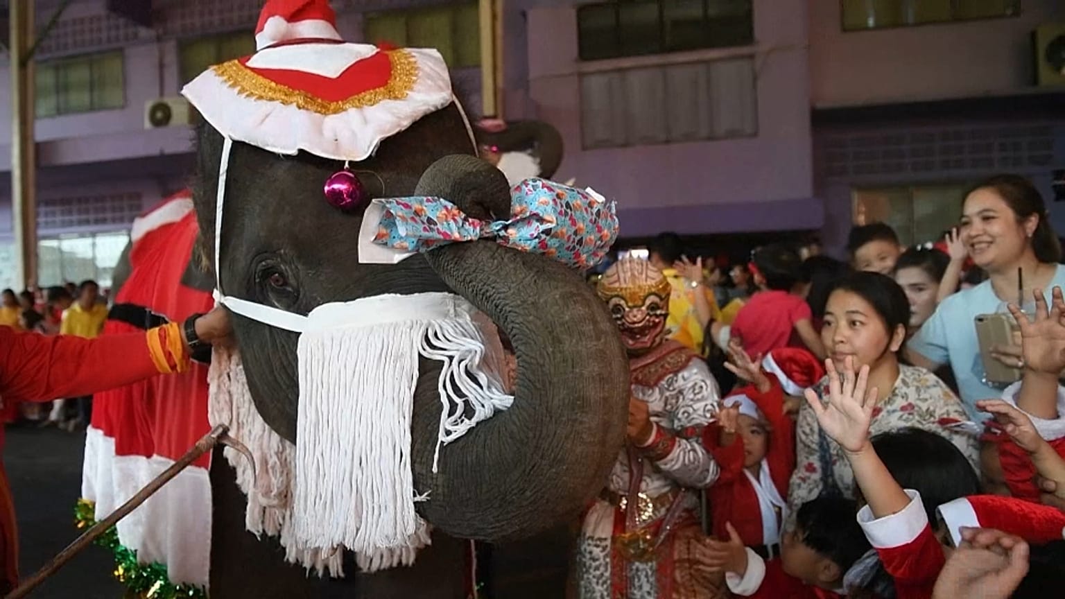 Des pères Noël à dos d'éléphant