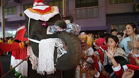 Des pères Noël à dos d'éléphant