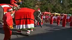 Elefantes vestidos de Papa Noel reparten regalos en Tailandia