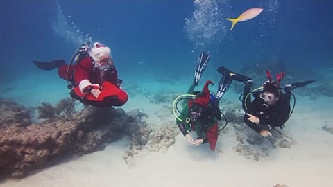 Papa Noel hace submarinismo solidario en Florida
