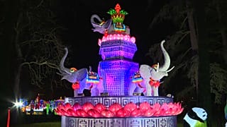 Les "féeries de Chine" s'invite dans le sud de la France