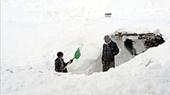  Aşağı Narlıca Mahallesi, Çatak, Van