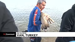 Polizist rettet Hund in der Türkei