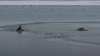 Puppy saved from frozen lake in Turkey
