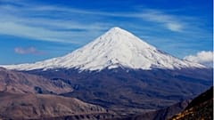عکس از ایسنا 