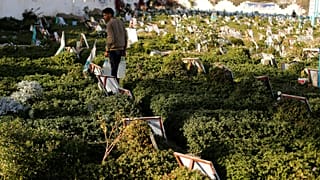 Rapor: Yemen'deki gazeteciler her iki tarafın da tehdidi altında
