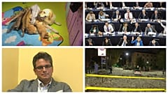 Sargentini-jelentés, óriási hitel Magyarországnak, elbocsátott szívsebész, tigriseket nevelő kutya