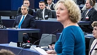 Harcosok klubja - Magyarország éve az EU-ban