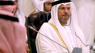 وزير الدولة للشؤون الخارجية الإماراتي، أنور قرقاش