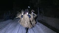 Ad Akita Capodanno come Halloween