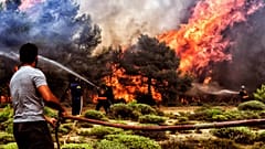 Three migrants receive Greek citizenship for rescuing people in wildfire