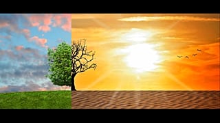 Глобальное потепление: печальные итоги 2018 года